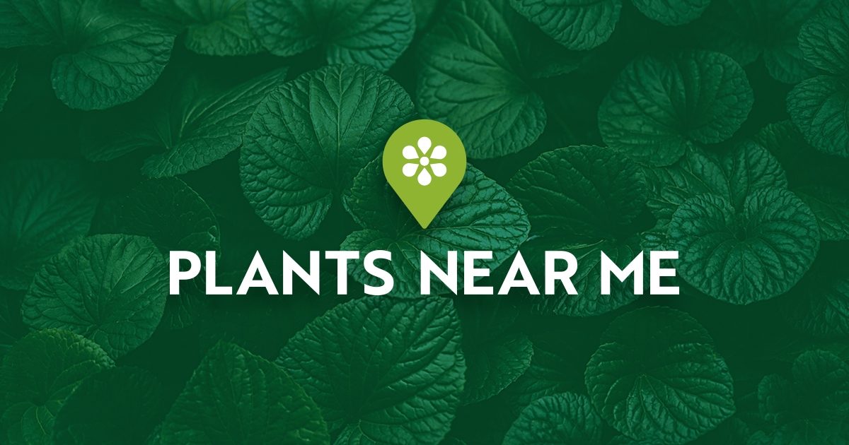 Find your local plant stockist - Plants Near Me